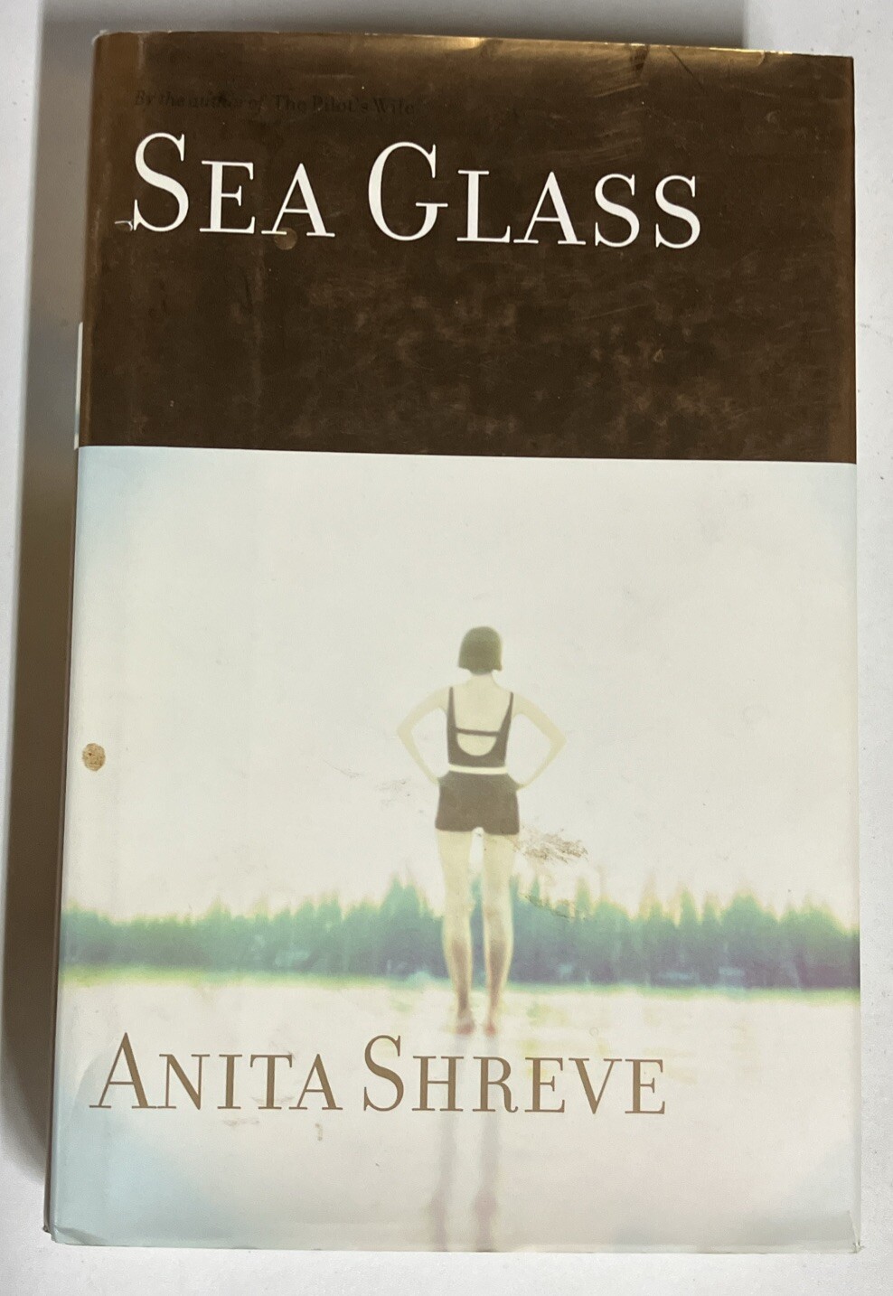 Sea Glass Anita Shreve 2002 Hardcover First Edition with DJ