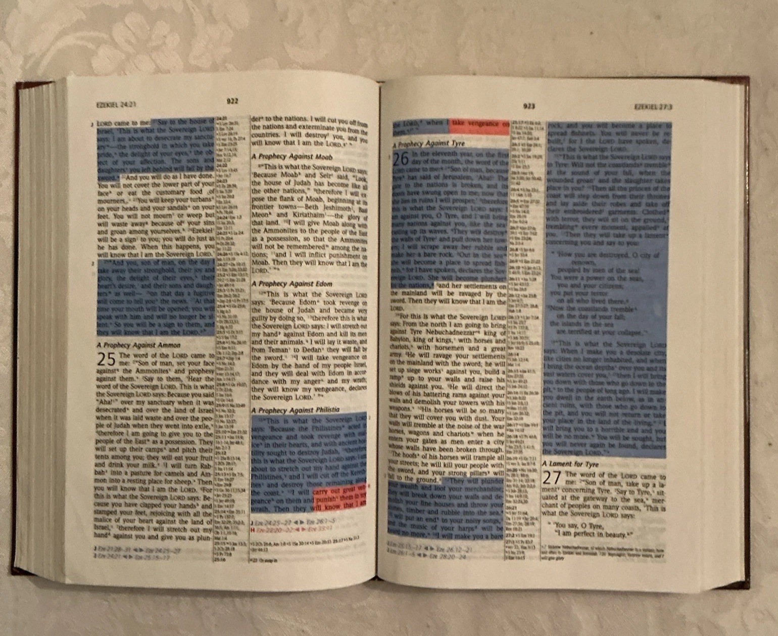 NIV Prophecy Marked Reference Study Bible 1998 Hardcover