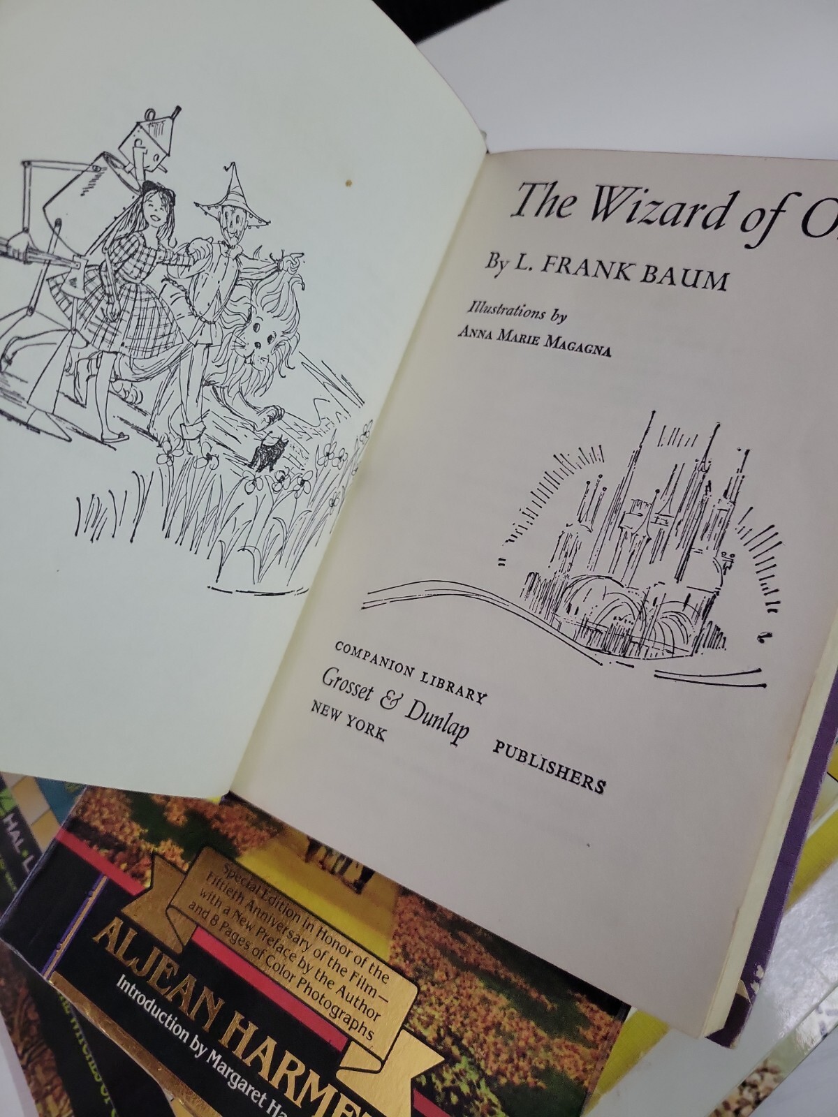The Wizard of Oz BOOK BUNDLE ~ 7 AWESOME OZ Books ~ (7th bonus book added!)