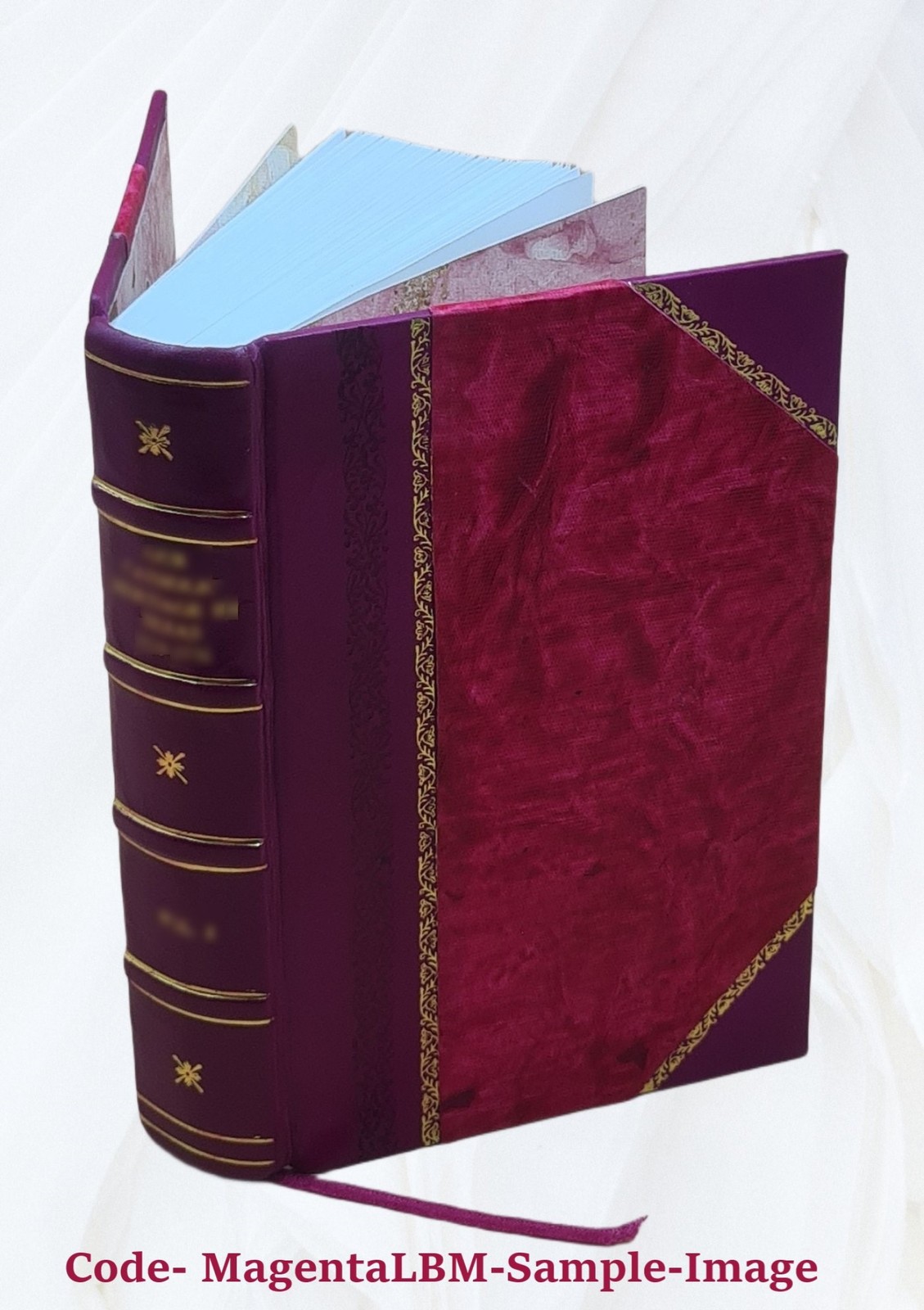 The Dispensatory of The United States of America 21st Edition 19 [Leather Bound]