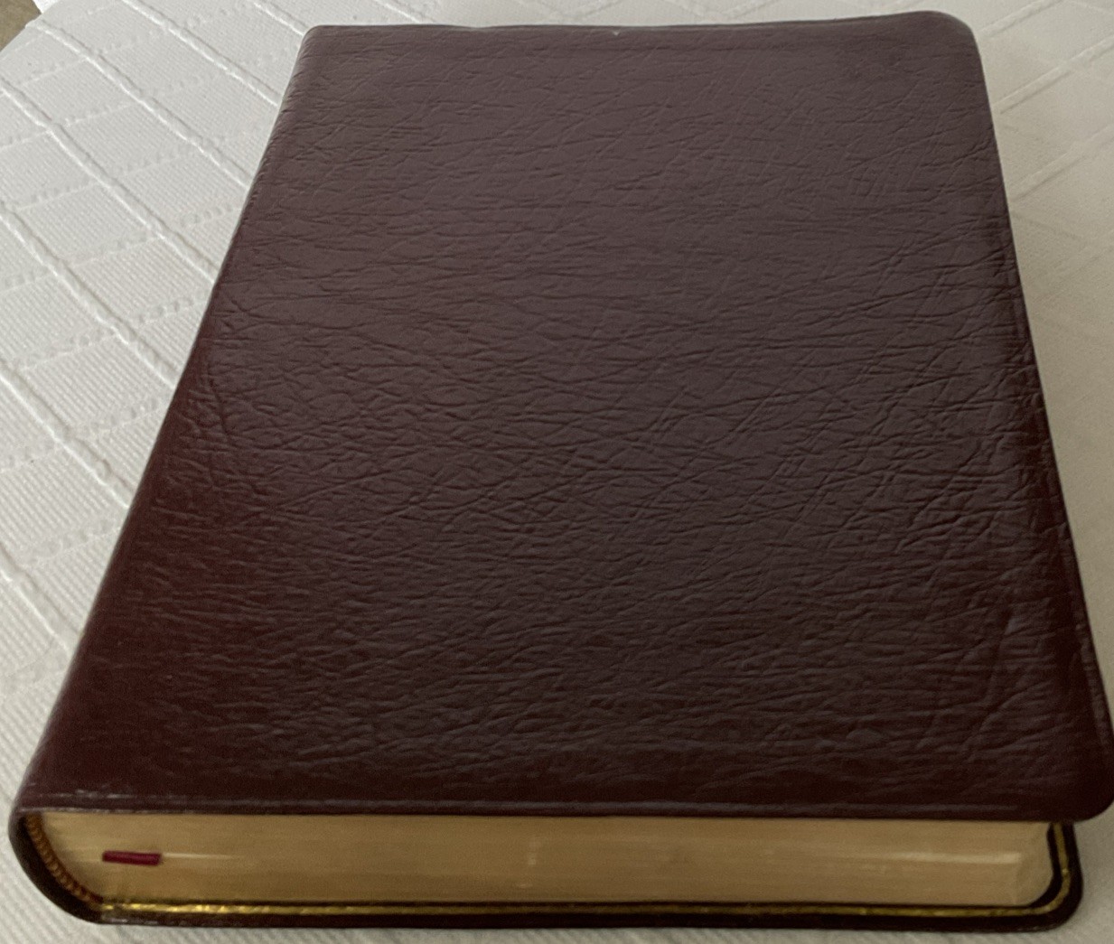 LIKE NEW***THOMPSON CHAIN-REFERENCE BIBLE***NIV***GENUINE LEATHER