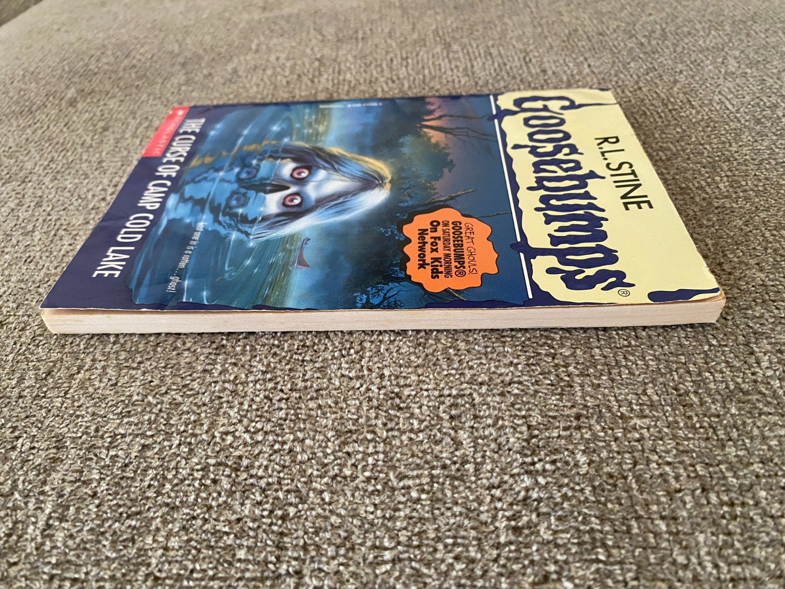 VG-/G+ Thin Edition 1st print Goosebumps #56 The Curse of Camp Cold Lake ~ Stine