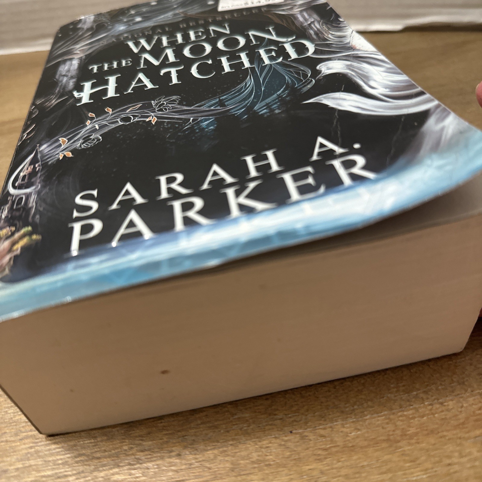 When the Moon Hatched Paperback by Sarah A. Parker (2024) Fantasy Romance