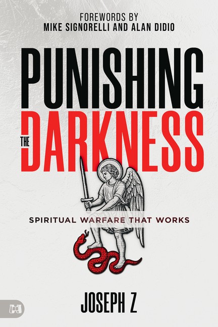 Punishing The Darkness: Spiritual Warfare That Works
