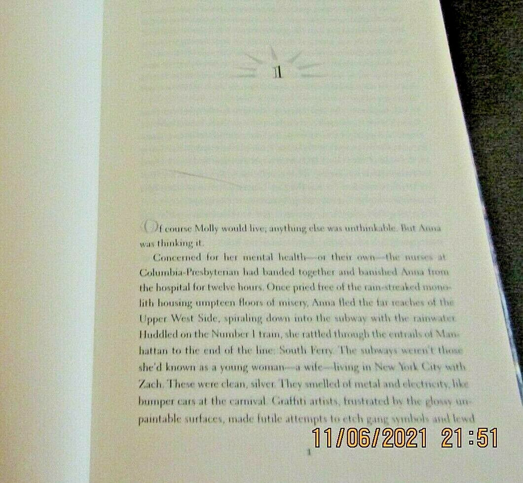 Liberty Falling by Nevada Barr (1999, Hardcover with Dust Jacket) 317 pages GUC