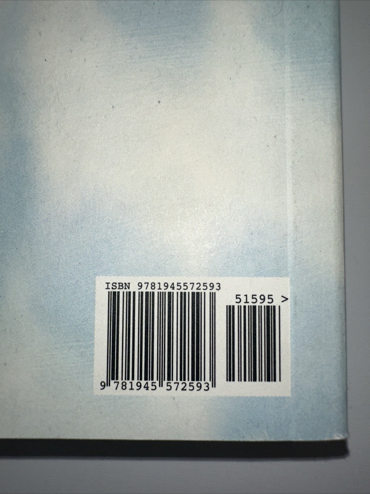 Hummingbird: Essays [Genuine Rare Bird Book] by Angelini, Jude paperback Book