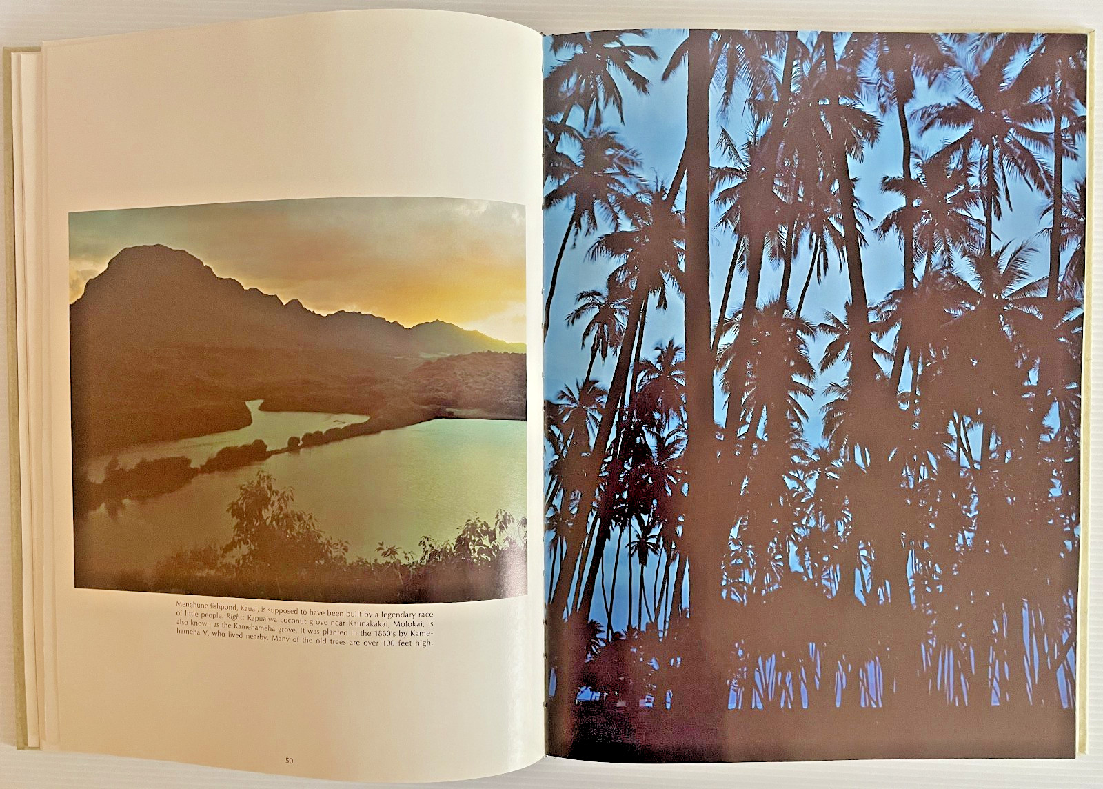 Eternal Hawaii Hardcover Book by Aaron Dygart 128 Pages 1976