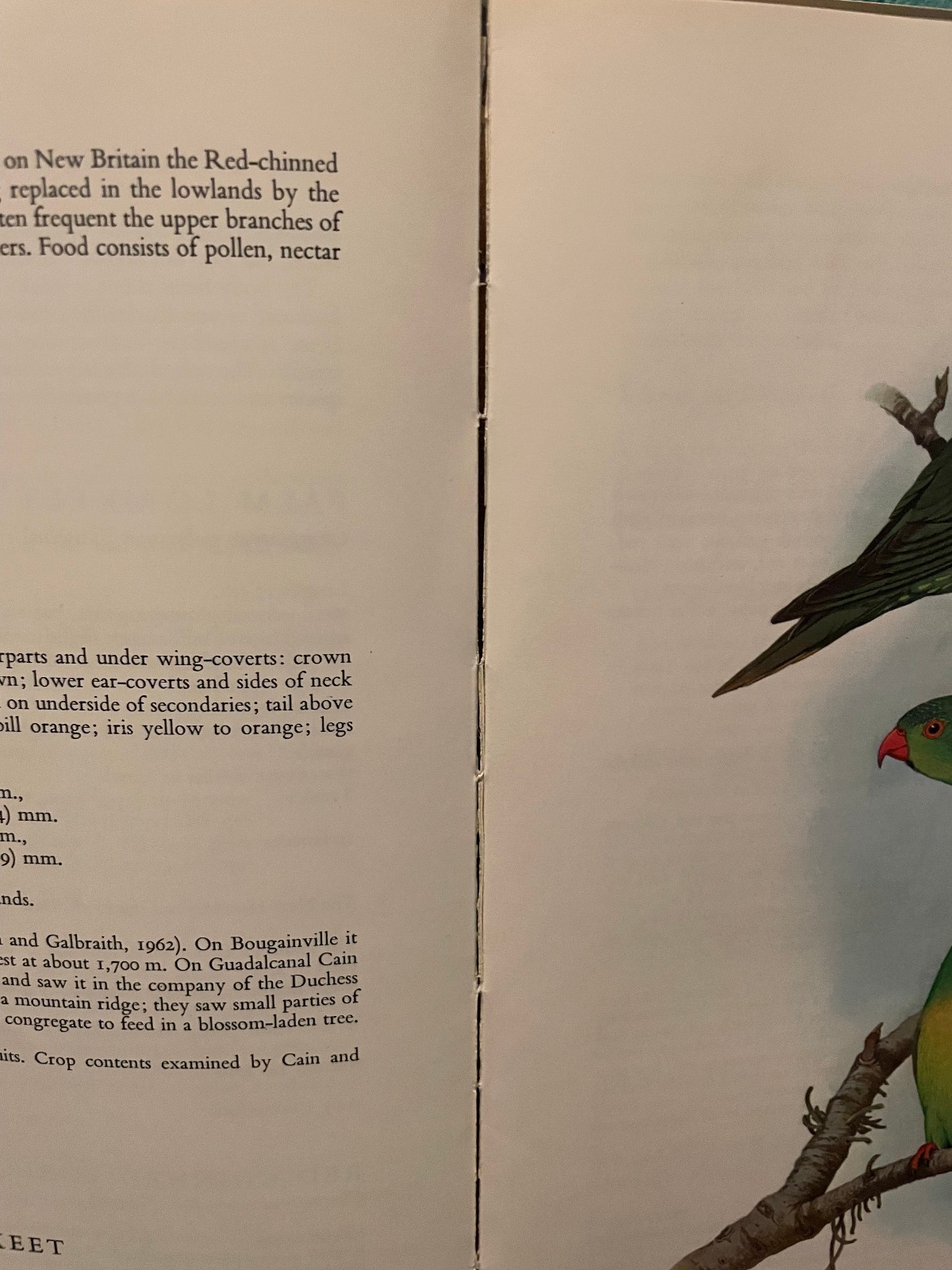 PARROTS OF THE WORLD Forshaw/Cooper 1973 First Edition ISBN 0385056281