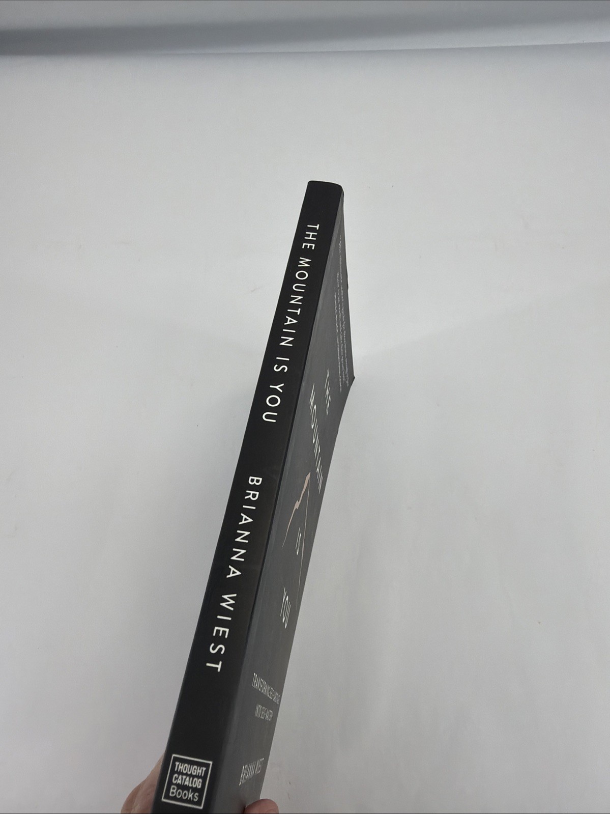 The Mountain is you by Brianna Wiest Paperback Book