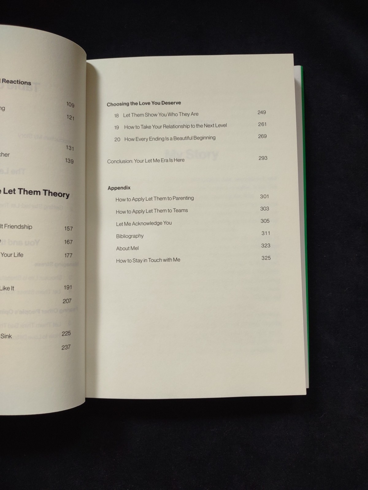 THE LET THEM THEORY Mel Robbins 1st Edition Hardcover Book Self Help Feel Great