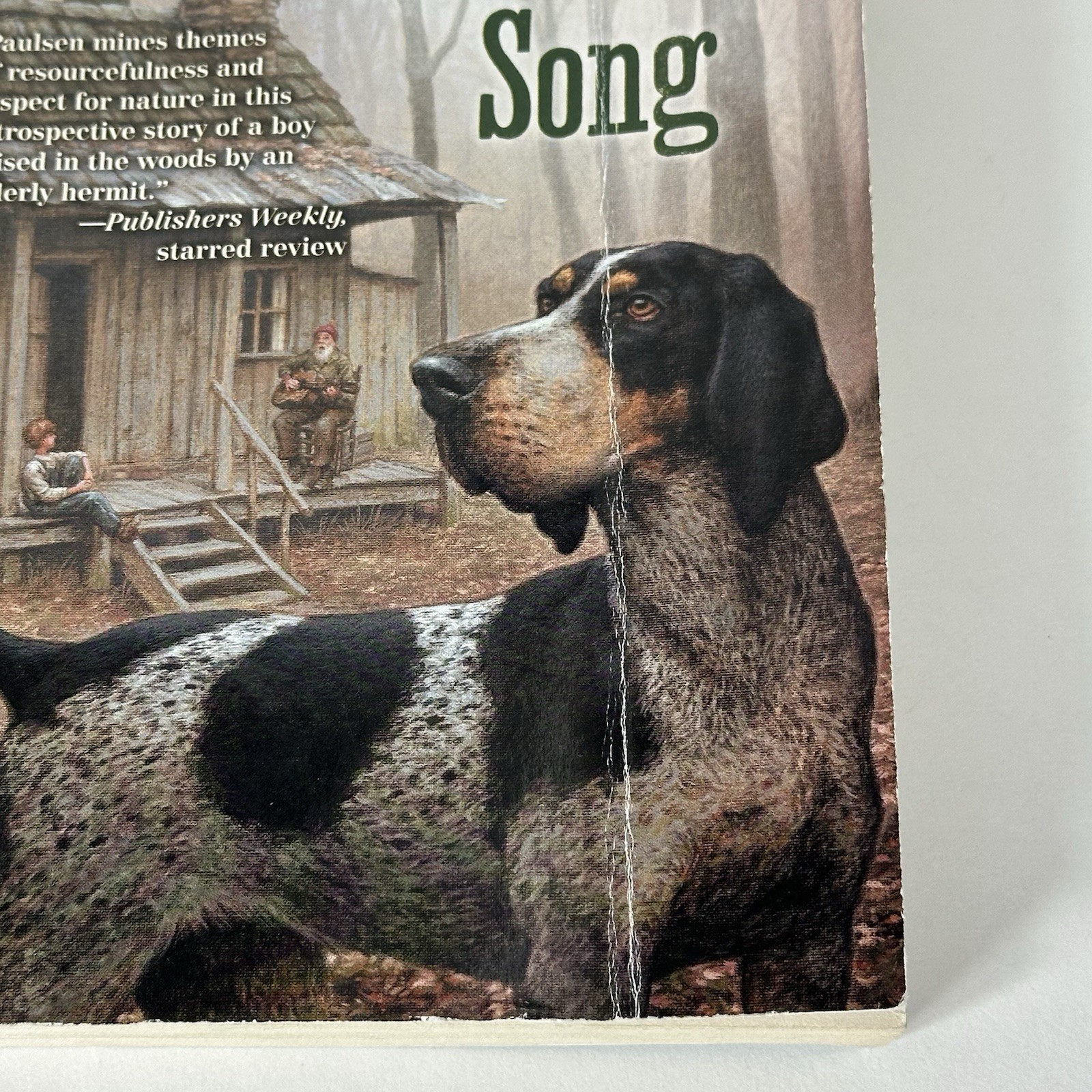 Lot of 7 Gary Paulsen Books, Hatchet, Brian’s Winter, DogSong, WoodSong, Good
