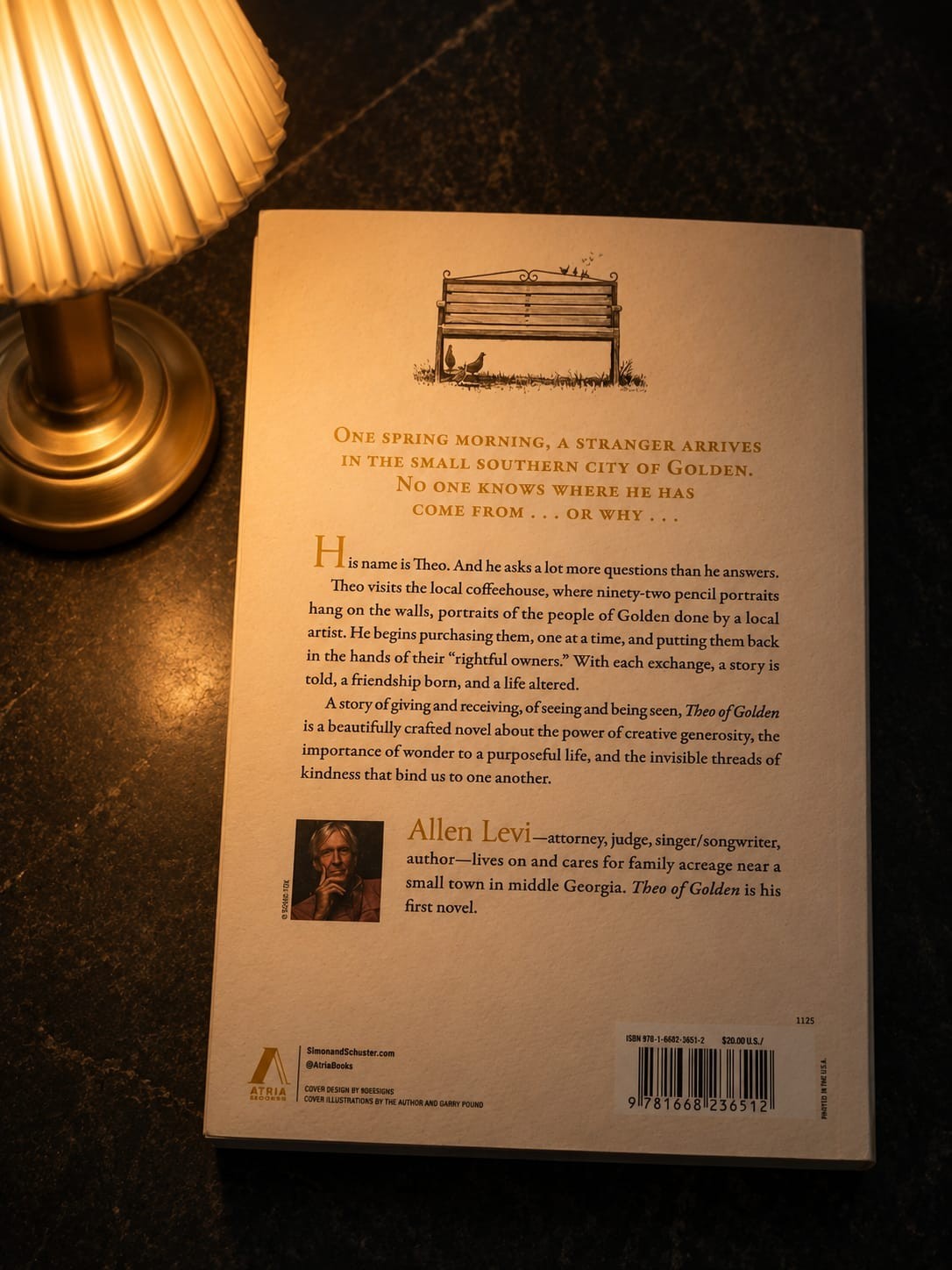 THEO OF GOLDEN BY ALLEN LEVI NEW ENGLISH PAPERBACK FREE SHIPPING