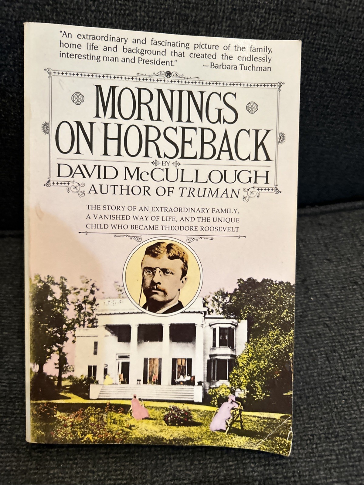 Mornings on Horseback David McCullough Paperback Theodore Roosevelt