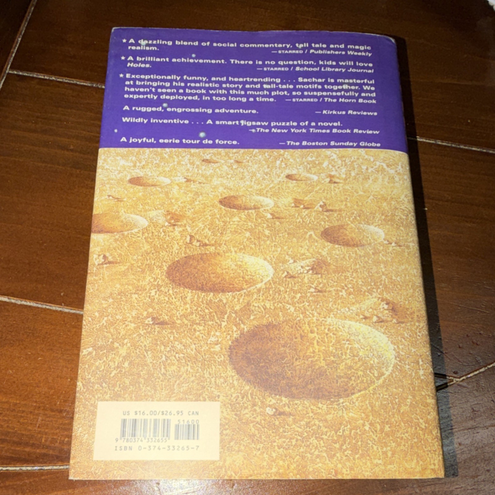 Louis Sachar Holes Hardcover Juvenile Fiction Farrar Straus & Giroux 1998