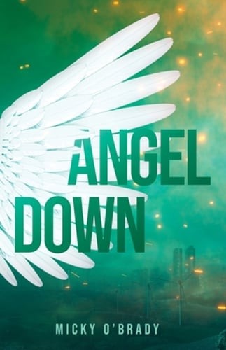 Angel Down by Micky O’Brady: New