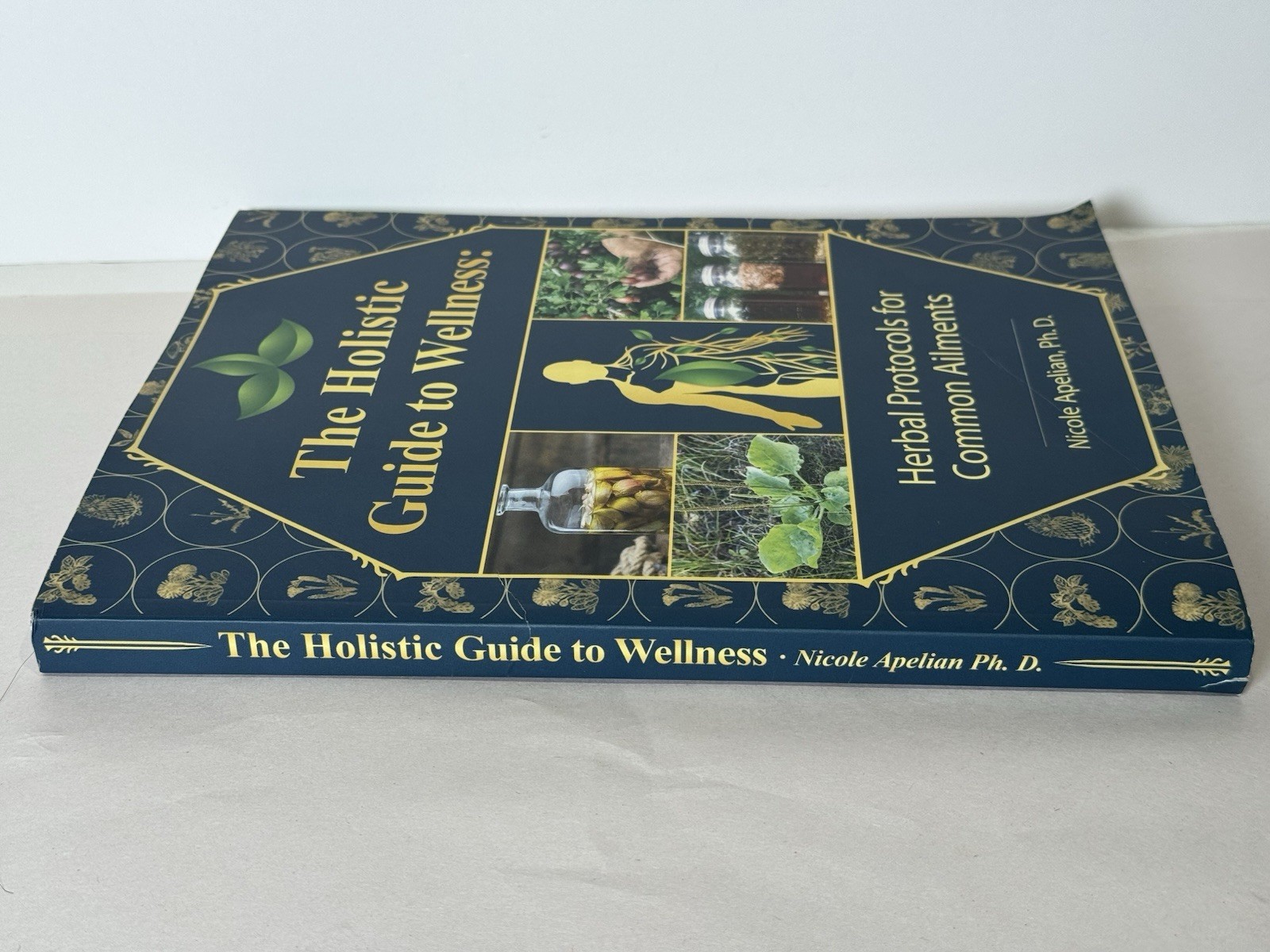 The Holistic Guide to Wellness by Nicole Apelian English Paperback Book