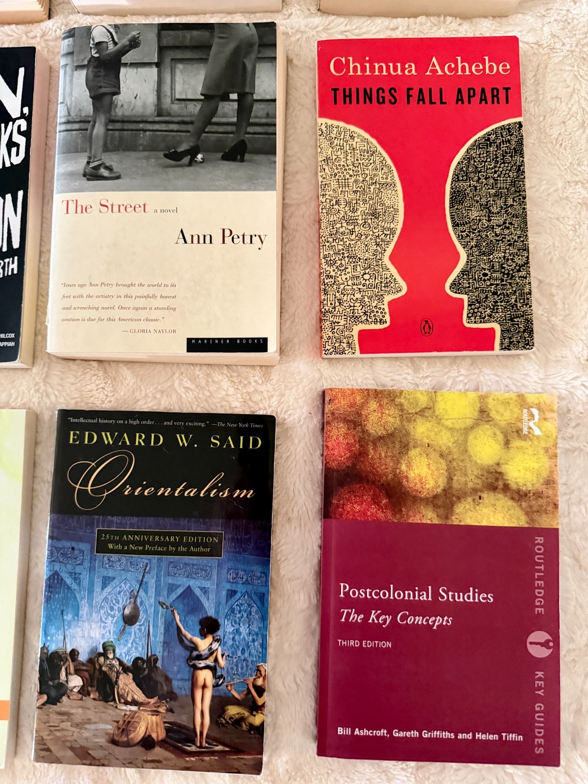 Postcolonial World Literature Book Lot Achebe Said Fanon Adichie 18 Books