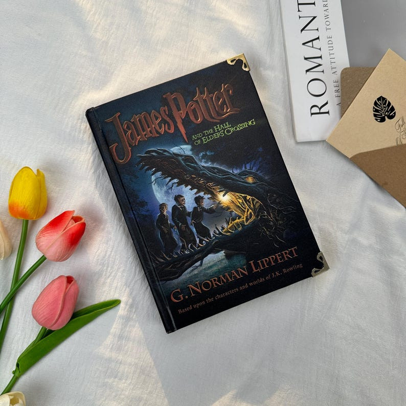 James Potter fantasy book series, hardcover, adventure and romance with bookmark