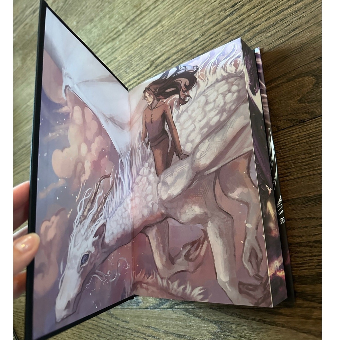 The Locked Library SE The Ballad Of Falling Dragons Sarah. A Parker Hardcover