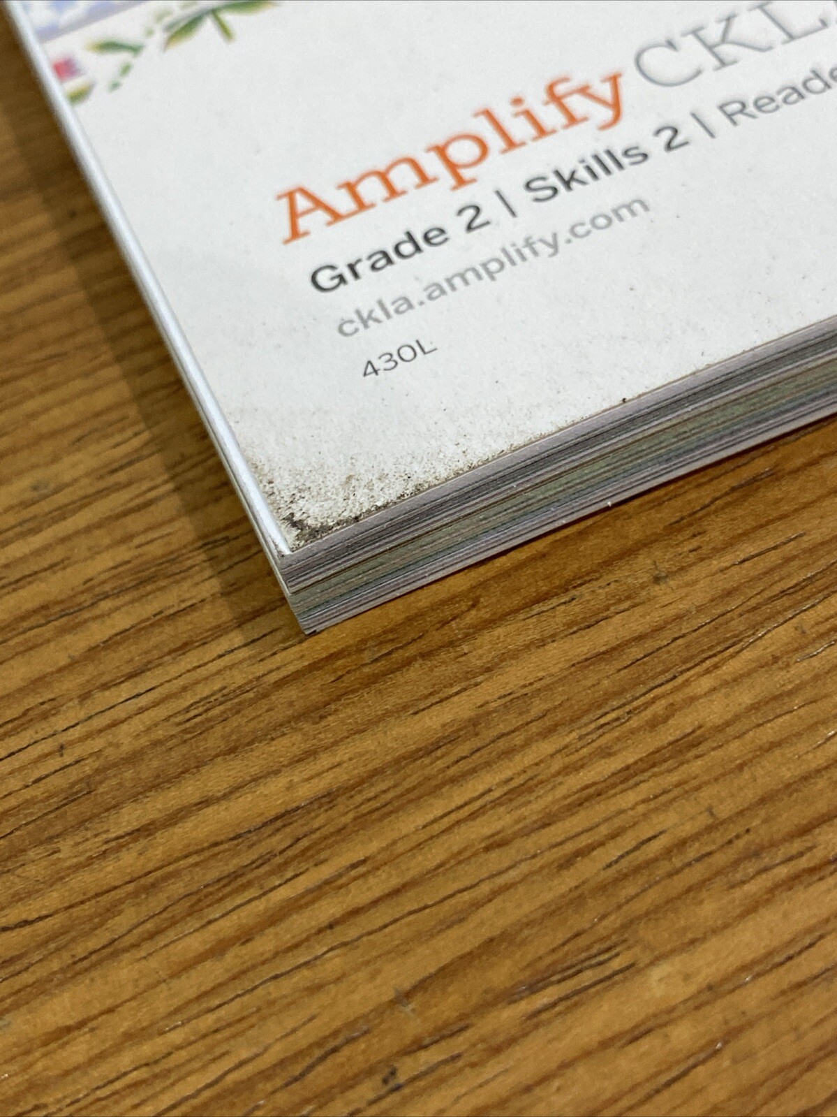 Amplify CKLA Grade 2 Skills 2
