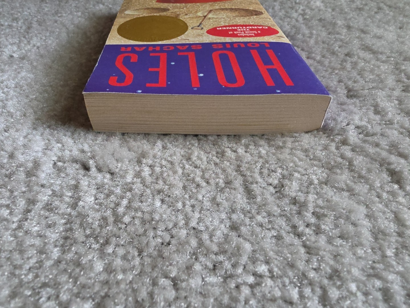 Holes by Louis Sachar (2008 Paperback)