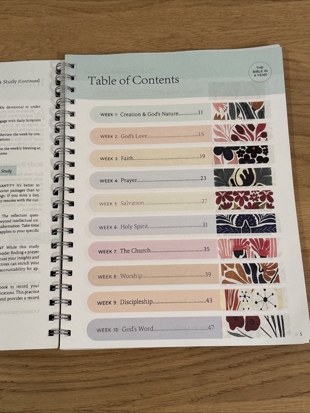 The Bible in a Year Spiral Bound Study Guide Adults English Nonfiction 11”x8.5”