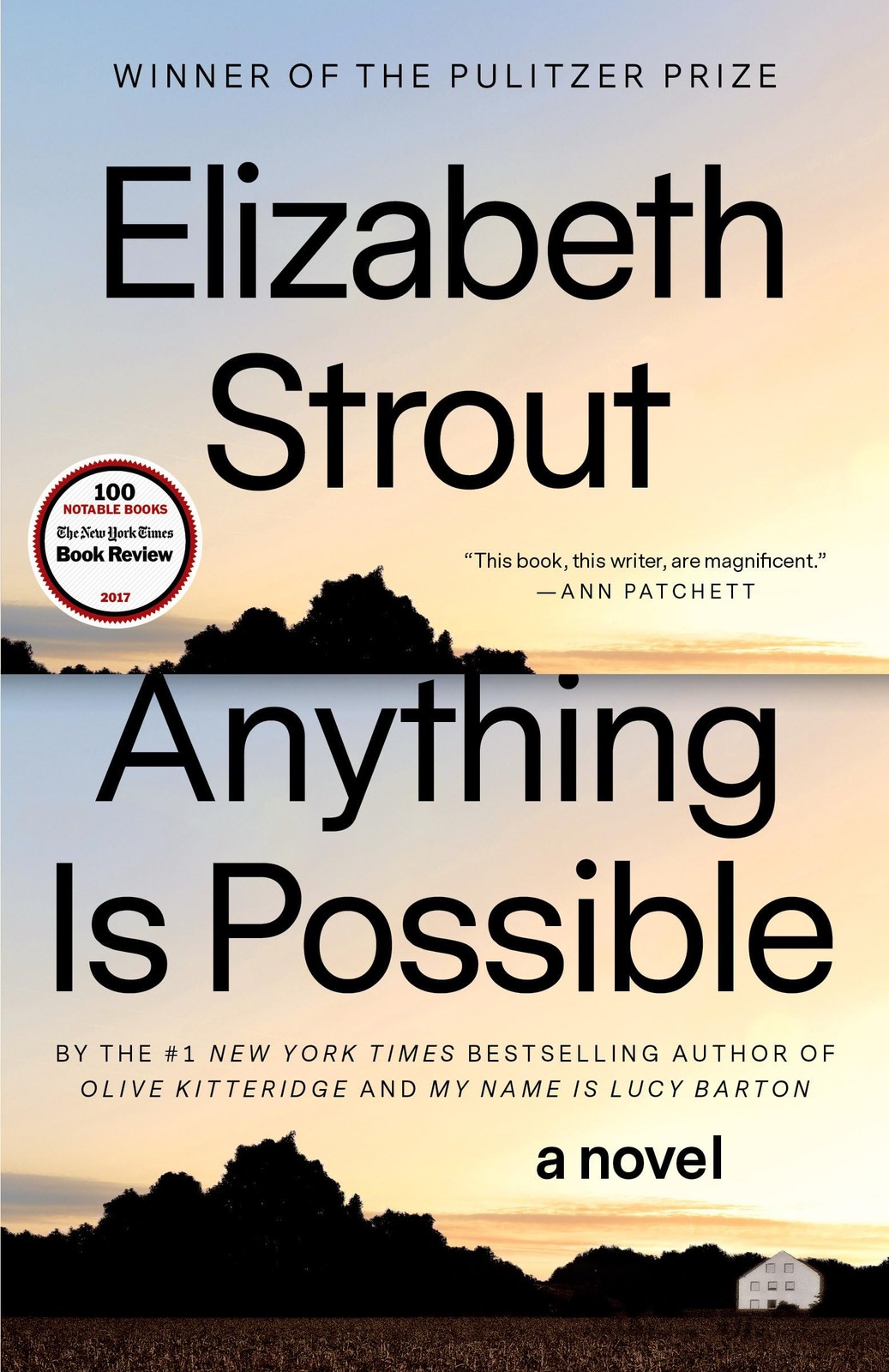 Anything Is Possible: A Novel – paperback Strout, Elizabeth