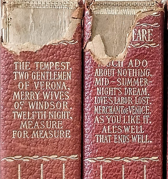 Antique 8‑Volume Shakespeare Works Set Leather‑Bound Gold Embossed 1900s Vintage
