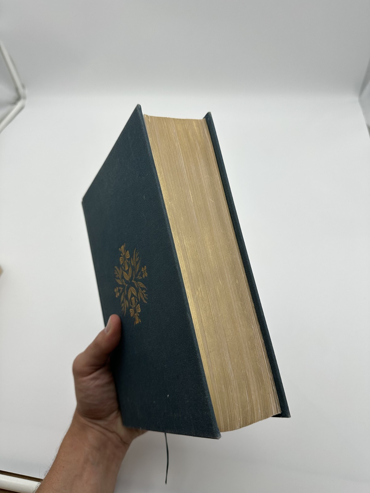2020 Women’s Study Bible ESV Missing Dust Jacket