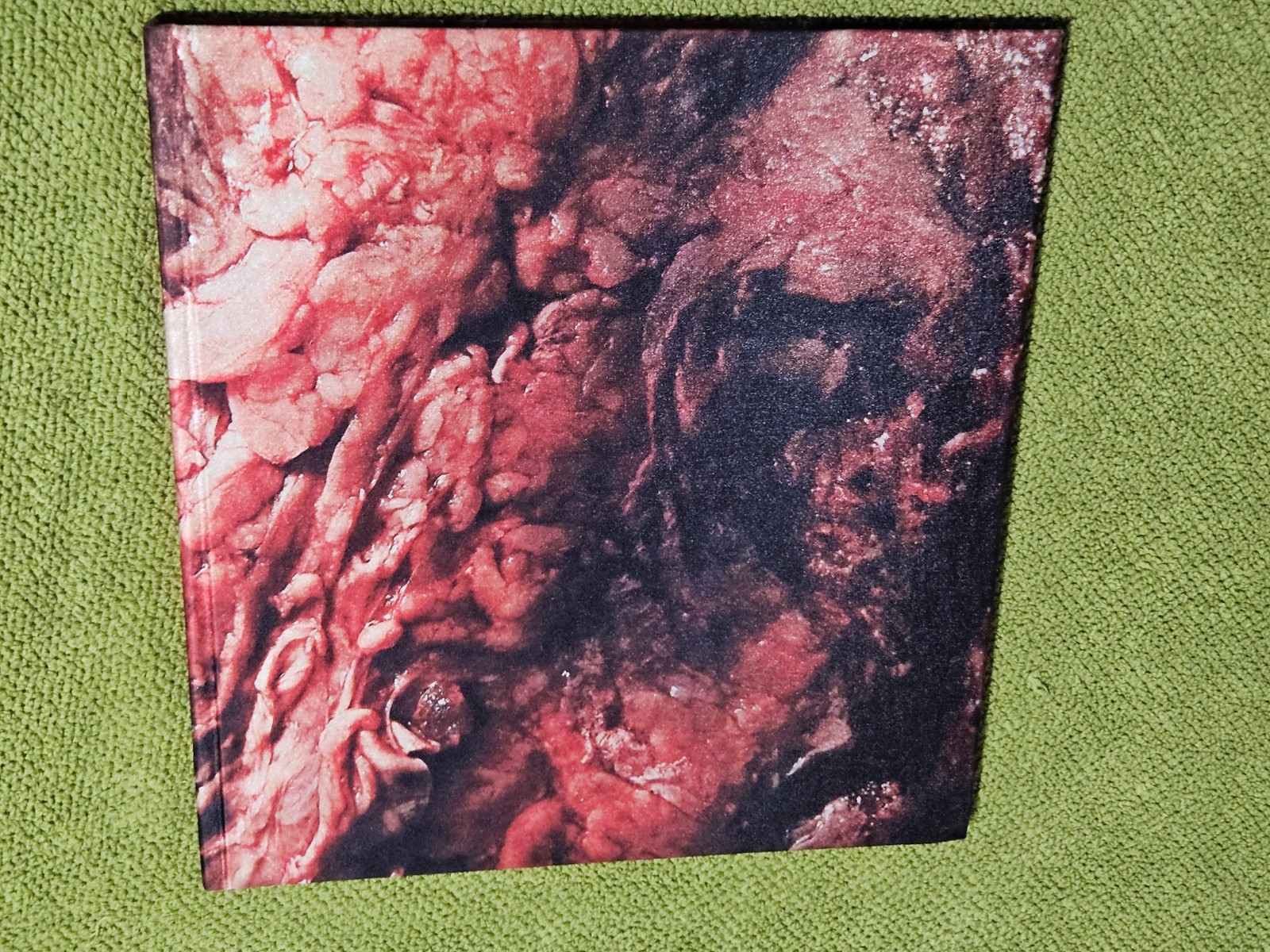 GUTS by Tim Palen RARE Horror/Photography HB Book – Saw Hostel Eli Roth- VF/NM!
