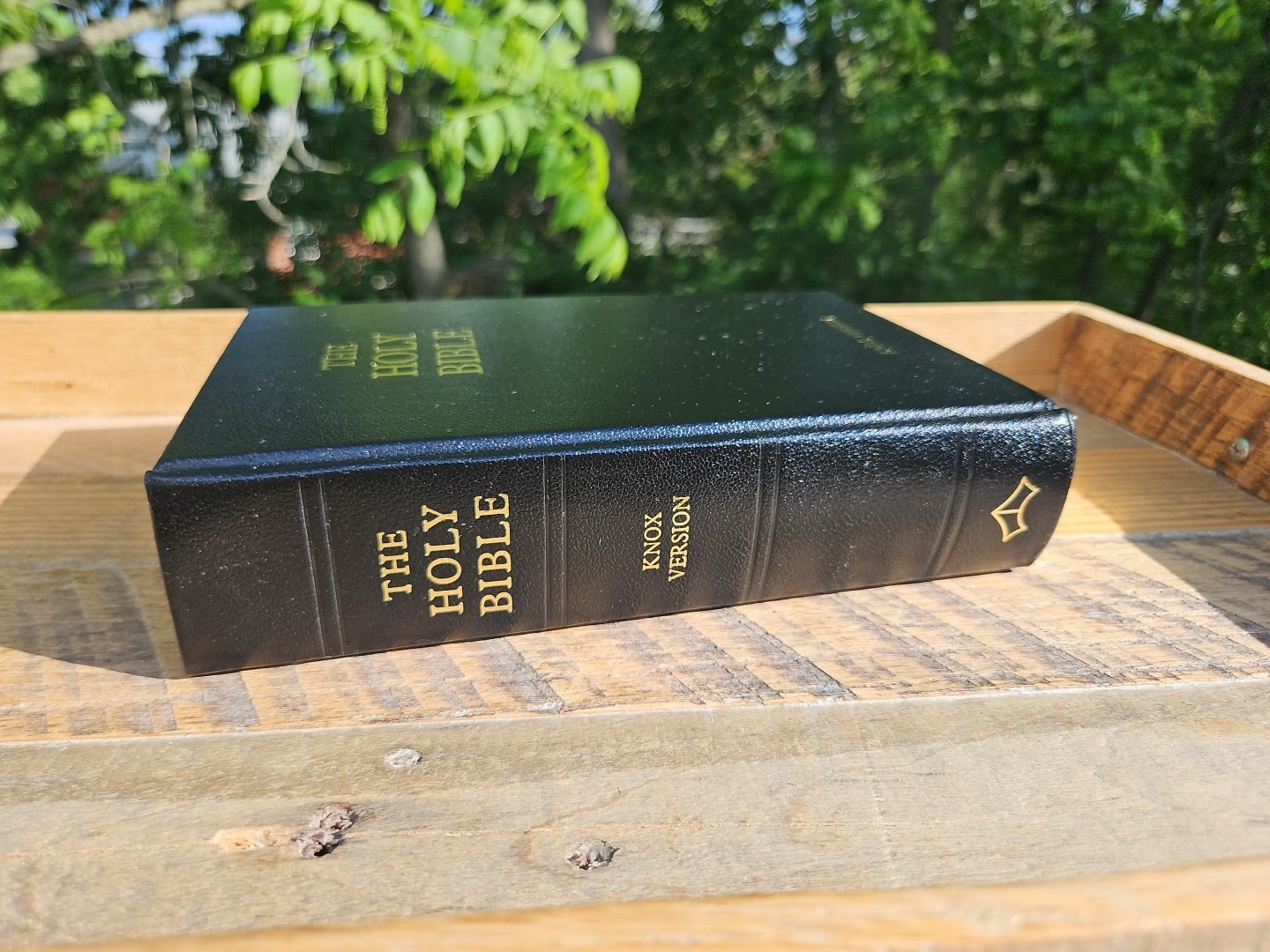 The Holy Bible–Knox Version Leather over Board by Baronius Press Latin Vulgate