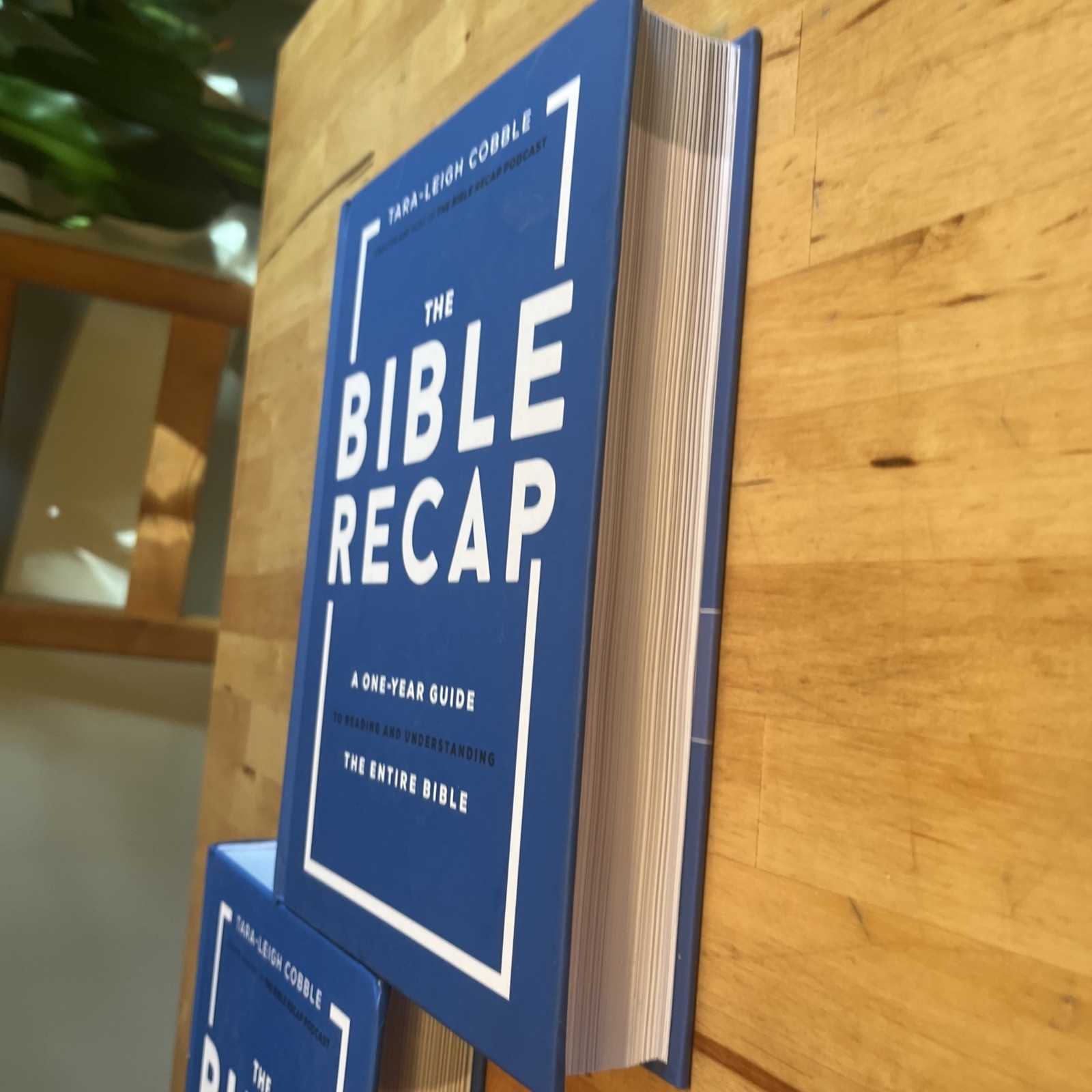 The Bible Recap A One Year Guide – Lot of 3 Hardcover Set – Tara-Leigh Cobble