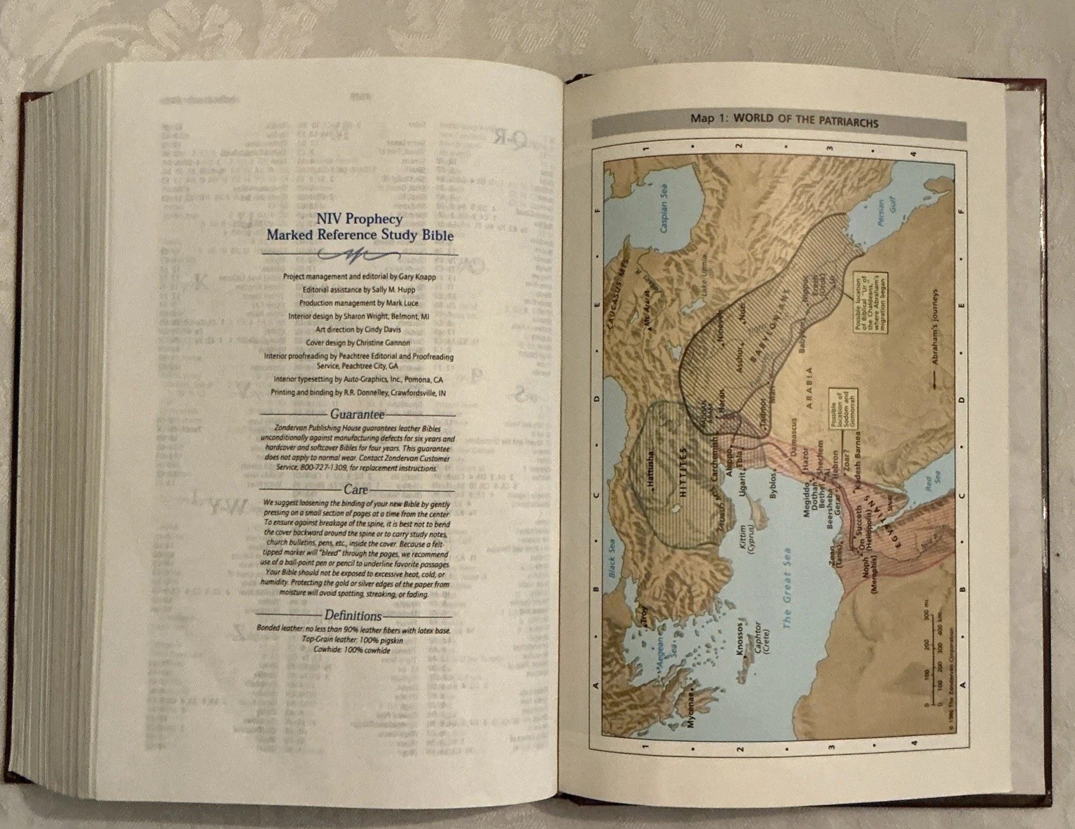 NIV Prophecy Marked Reference Study Bible 1998 Hardcover