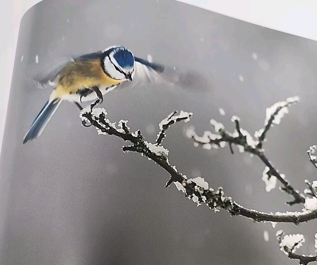 White Nature