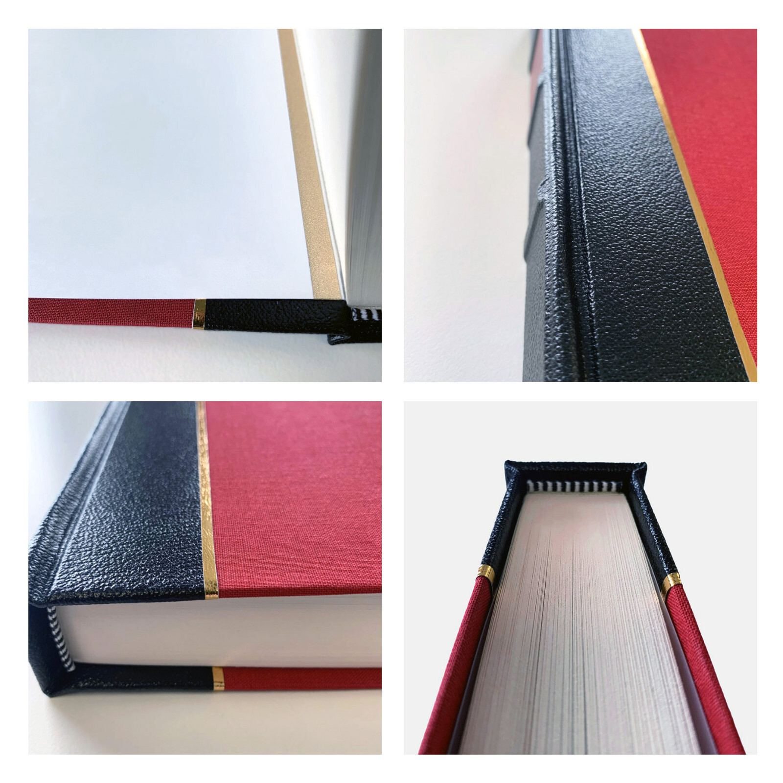 I Who Have Never Known Men (Leather-bound) Jacqueline Harpman Hardcover Book