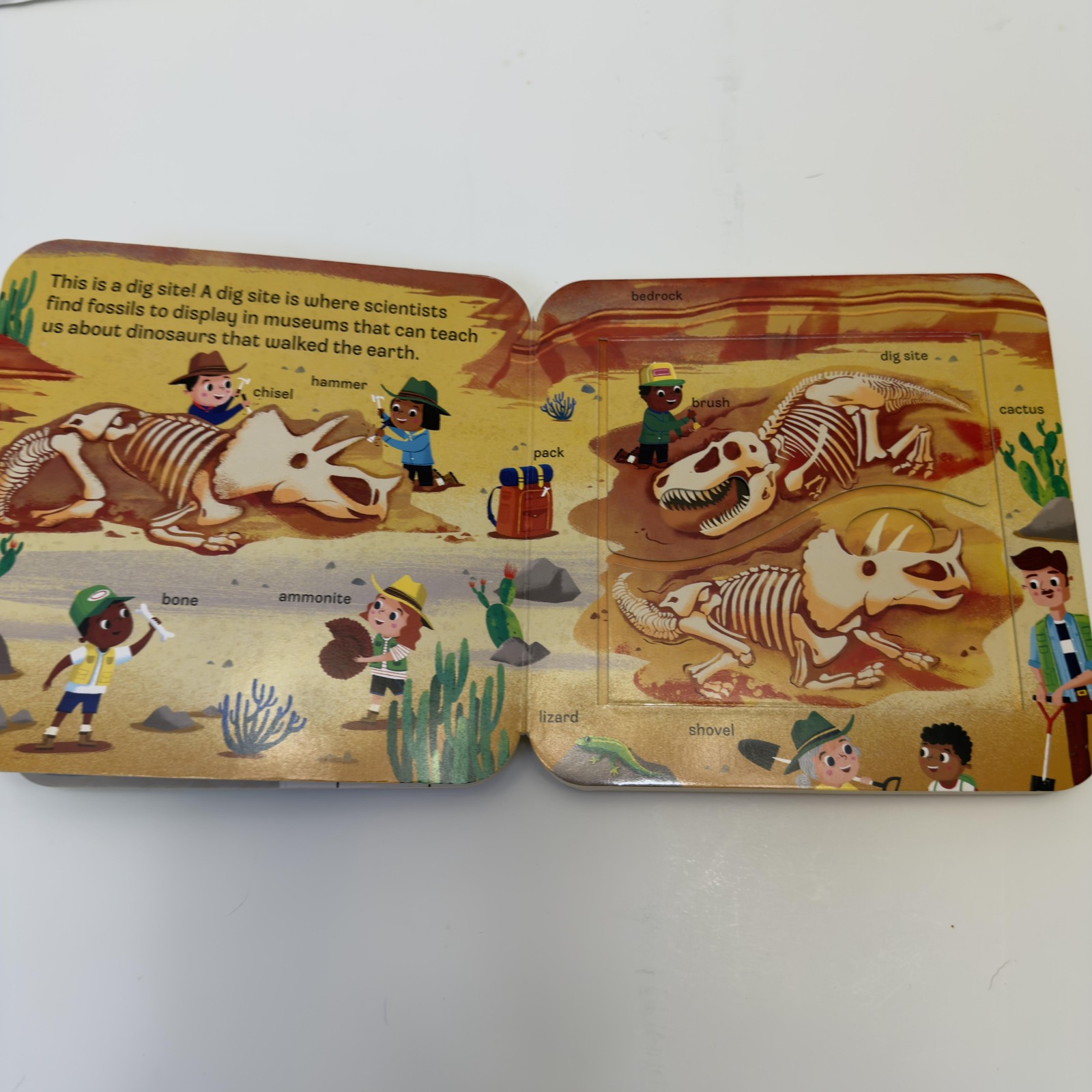 Peek-a-Flap DINO Jaye Garnett Cottage Door Press Dino Board Book Ages 2-3 Green