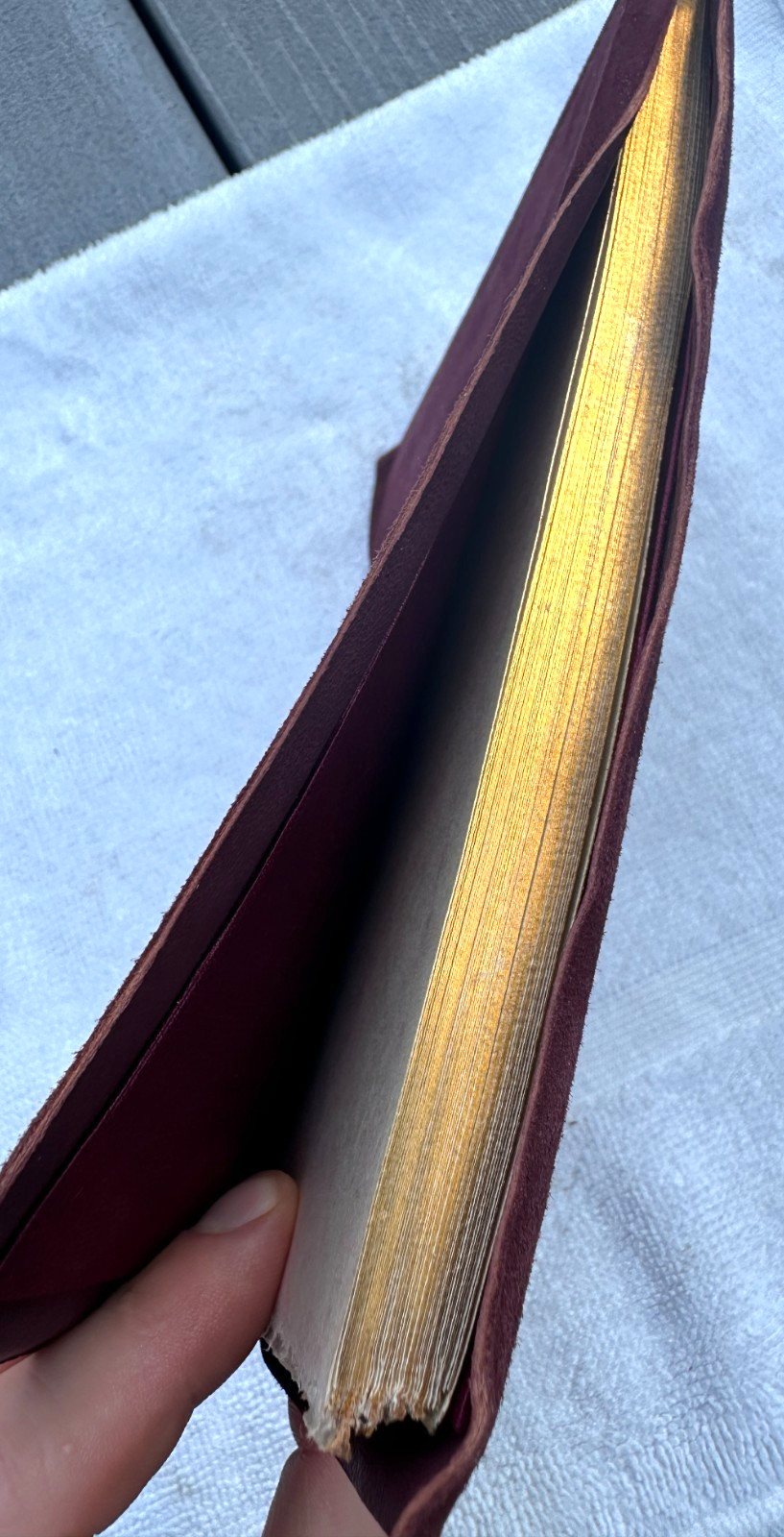 Vintage 1922 The Rubaiyat Of Omar Khayyam Suede Cover Book by Roycrofters w/ Box