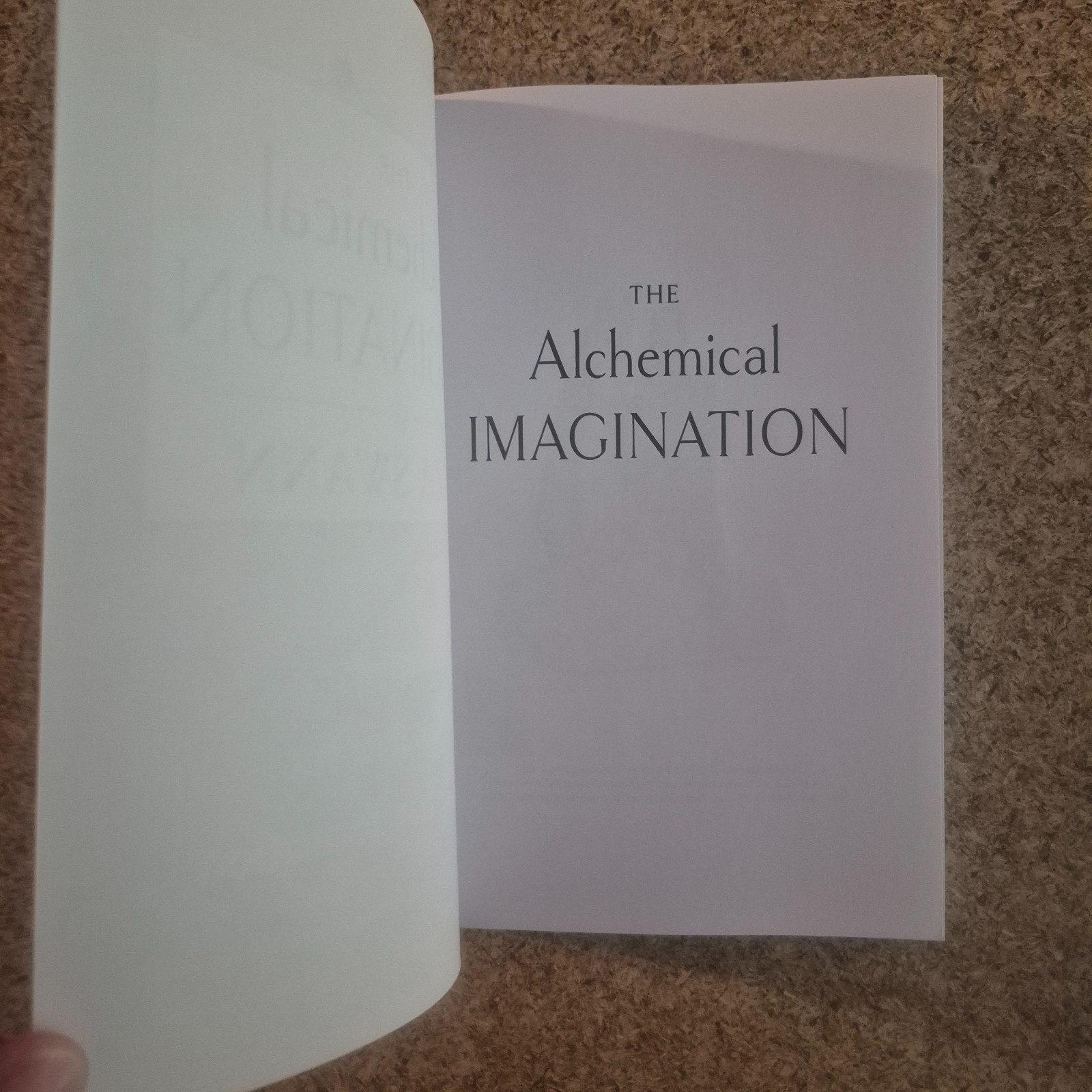 Eliza Swann The Alchemical Imagination (Paperback) 2026 New Age Holistic