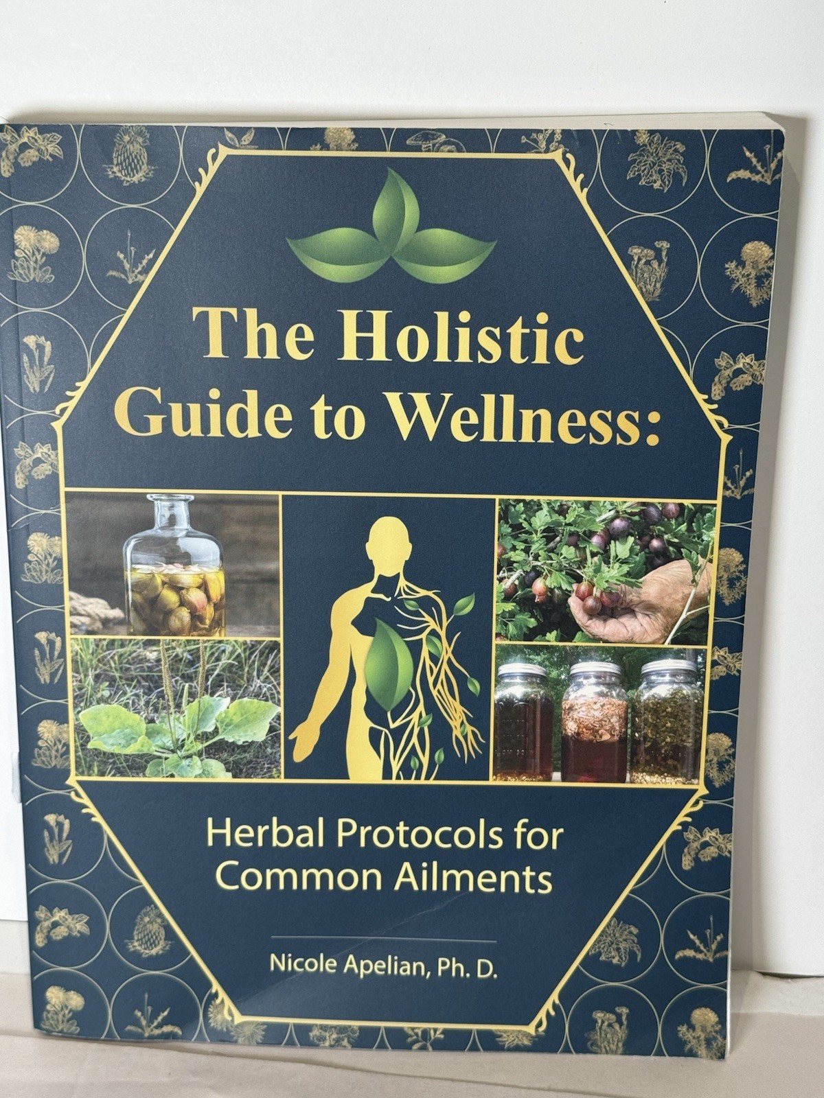 The Holistic Guide to Wellness by Nicole Apelian English Paperback Book