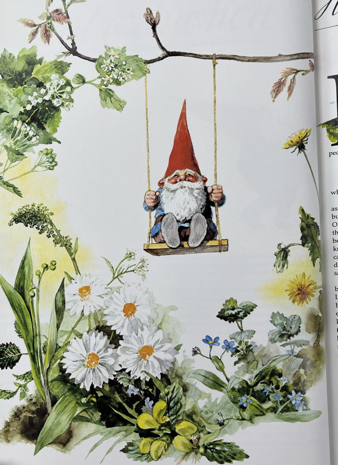 GNOMES by Huygen & Poortvliet 1977 Abrams 100s of color Illus 1st Ed HC/DJ VG+