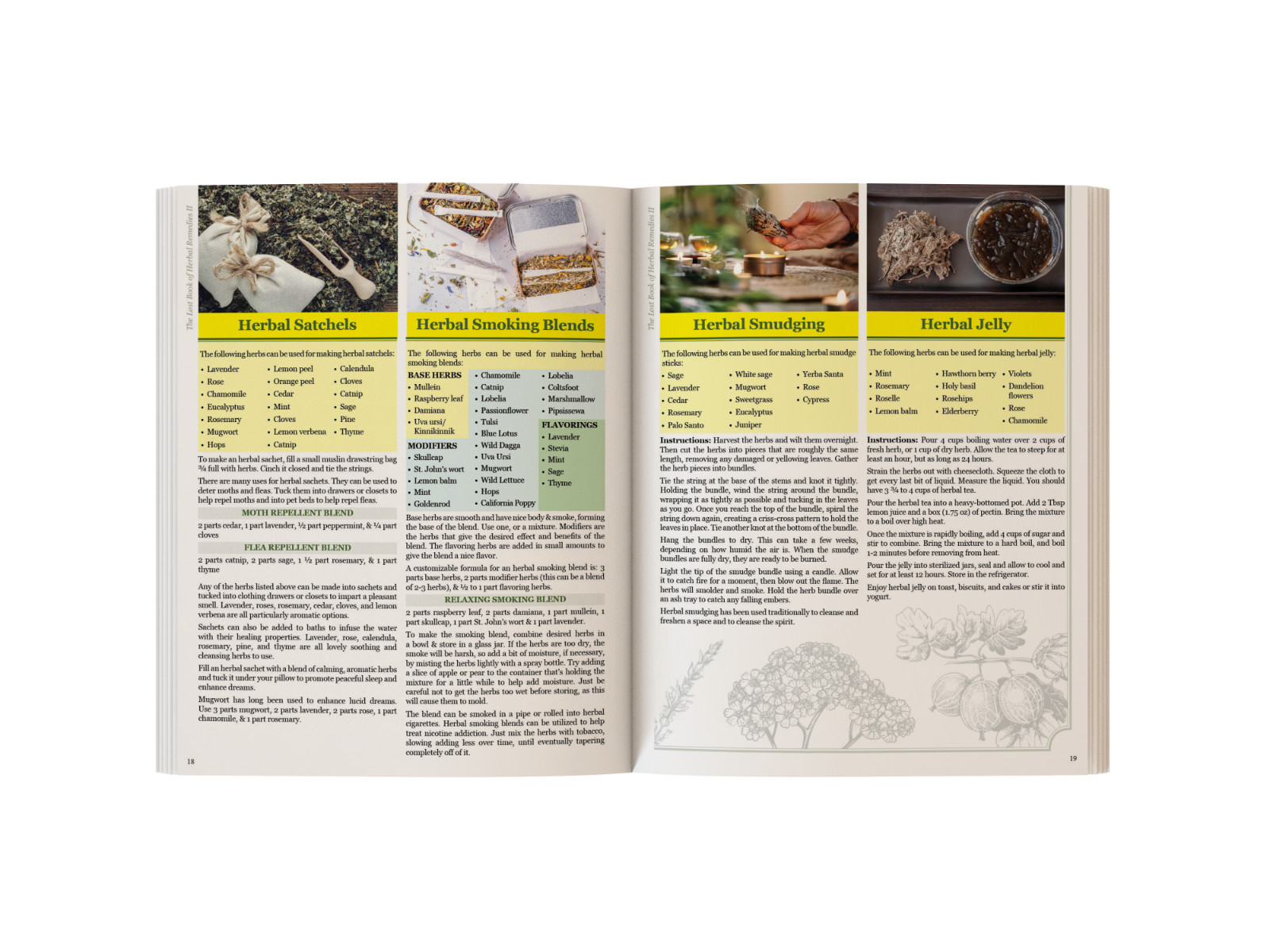 The Lost Book of Herbal Remedies II (paperback with color pictures)