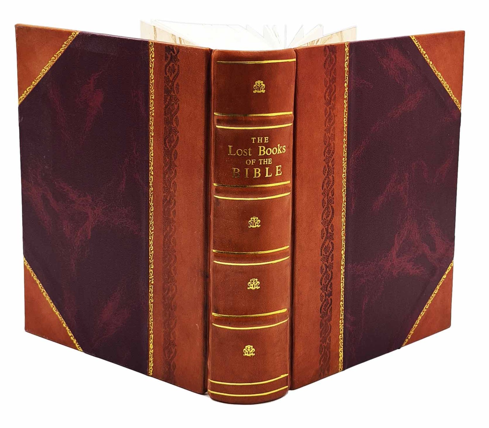 The Lost Books Of The Bible And The Forgotten Books Of Eden 1926 [Leather Bound]