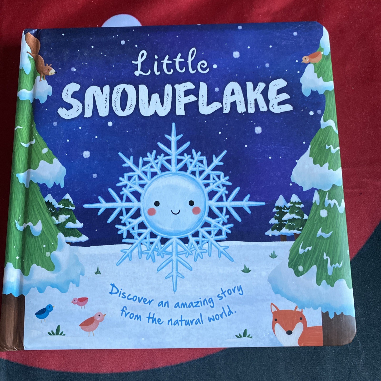 *KIDS*🎅🏼 Little Snowflake ❄️ by S. Fossey (2019, Pad Book) CHRISTMAS $12.25