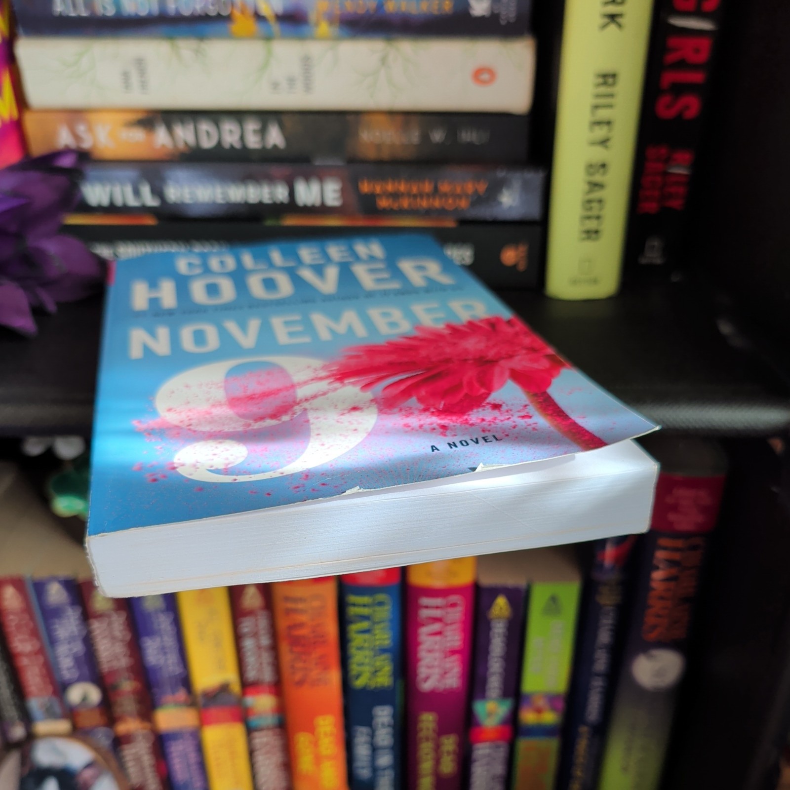 November 9 : A Novel by Colleen Hoover (2015, Trade Paperback)