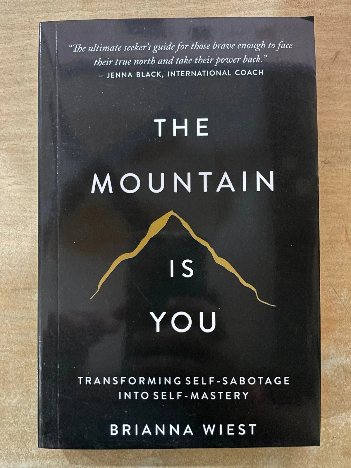 Perfect Book for Gift – The Mountain is You USA Stock Premium Quality Fast Shipp
