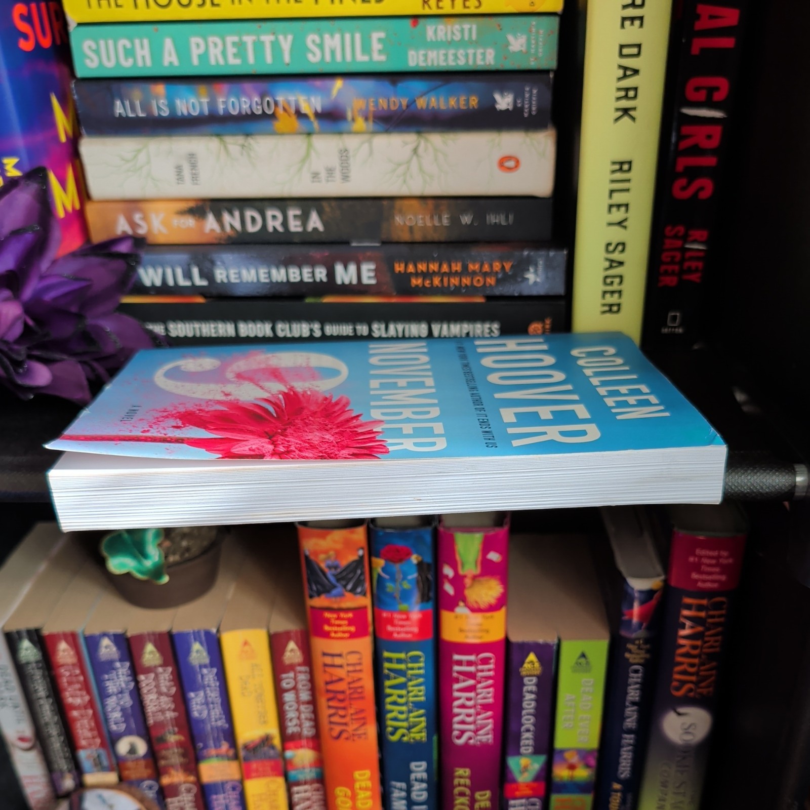 November 9 : A Novel by Colleen Hoover (2015, Trade Paperback)