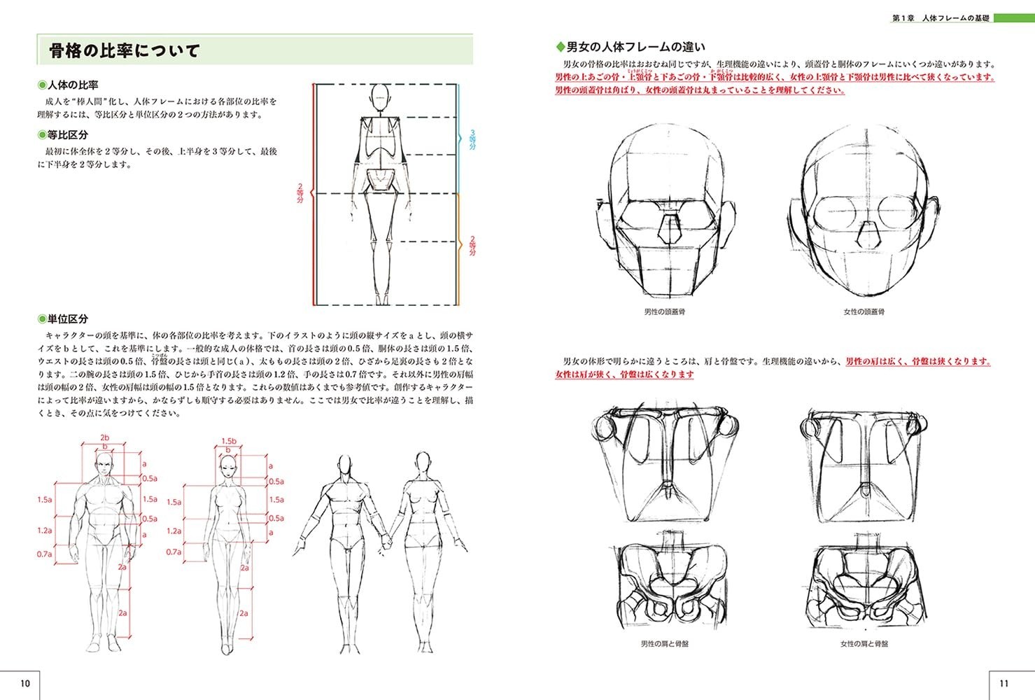 Master Guide to Drawing the Human Body – Character Drawing from the Basics Book