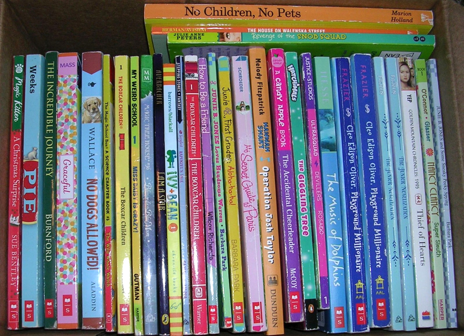 Random Lot 20 GIRLS Reading Level 3rd 4th 5th Grade Chapter Books FREE SHIP