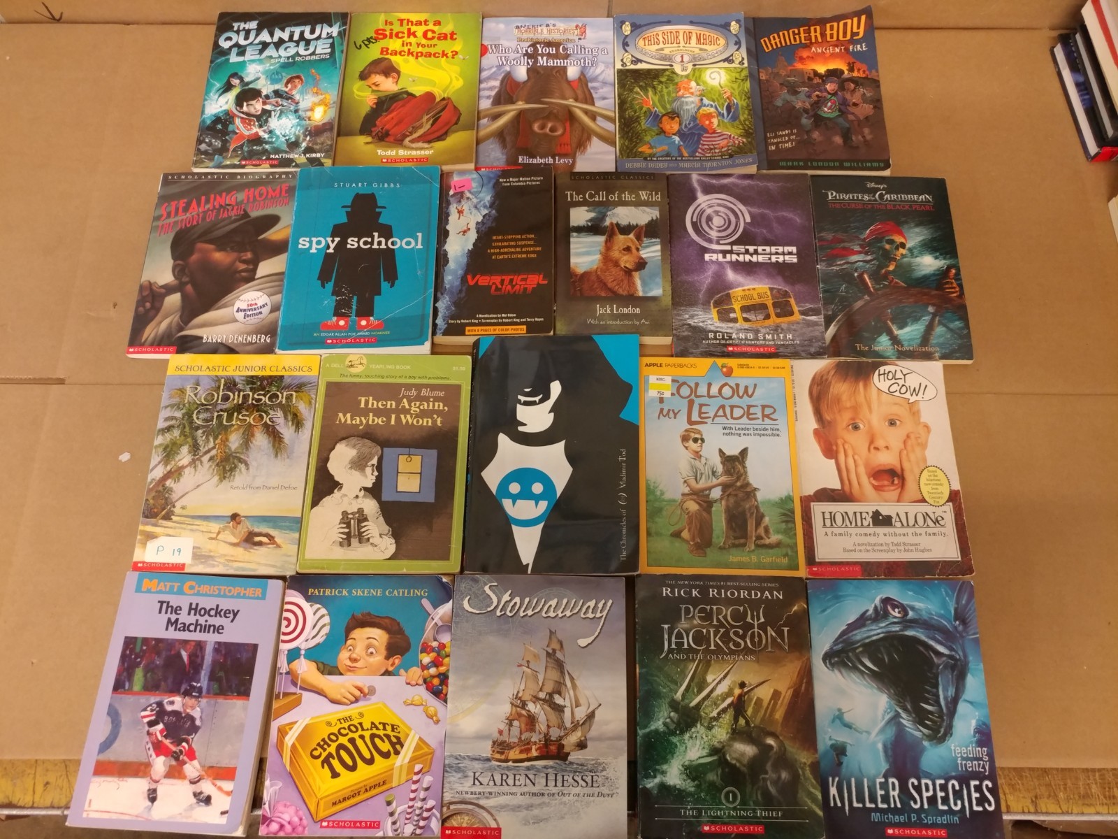 Lot of 20 Chapter Books for BOYS Youth Early Reader Young Adults Children RANDOM