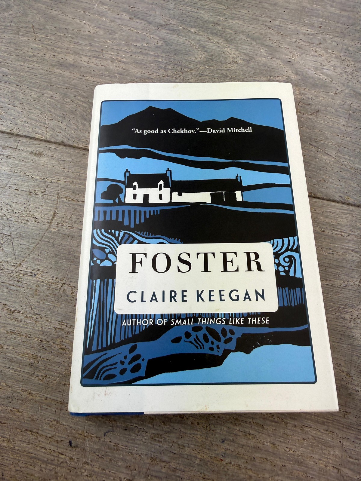 Foster Claire Keegan Grove Press HC DJ Ireland Childhood Family Novel Fiction